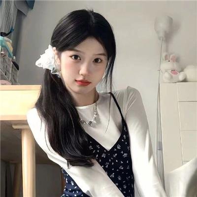 躲在阁楼的安妮·法兰克